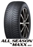 ALL SEASON MAXX AS1 215/50R17 95H XL