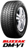 BLIZZAK DM-V1 215/65R16 98Q