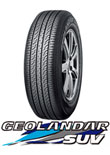 GEOLANDAR SUV